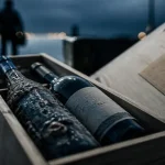 Coffret vin vieilli en mer : deux bouteilles, ambiance sous-marine